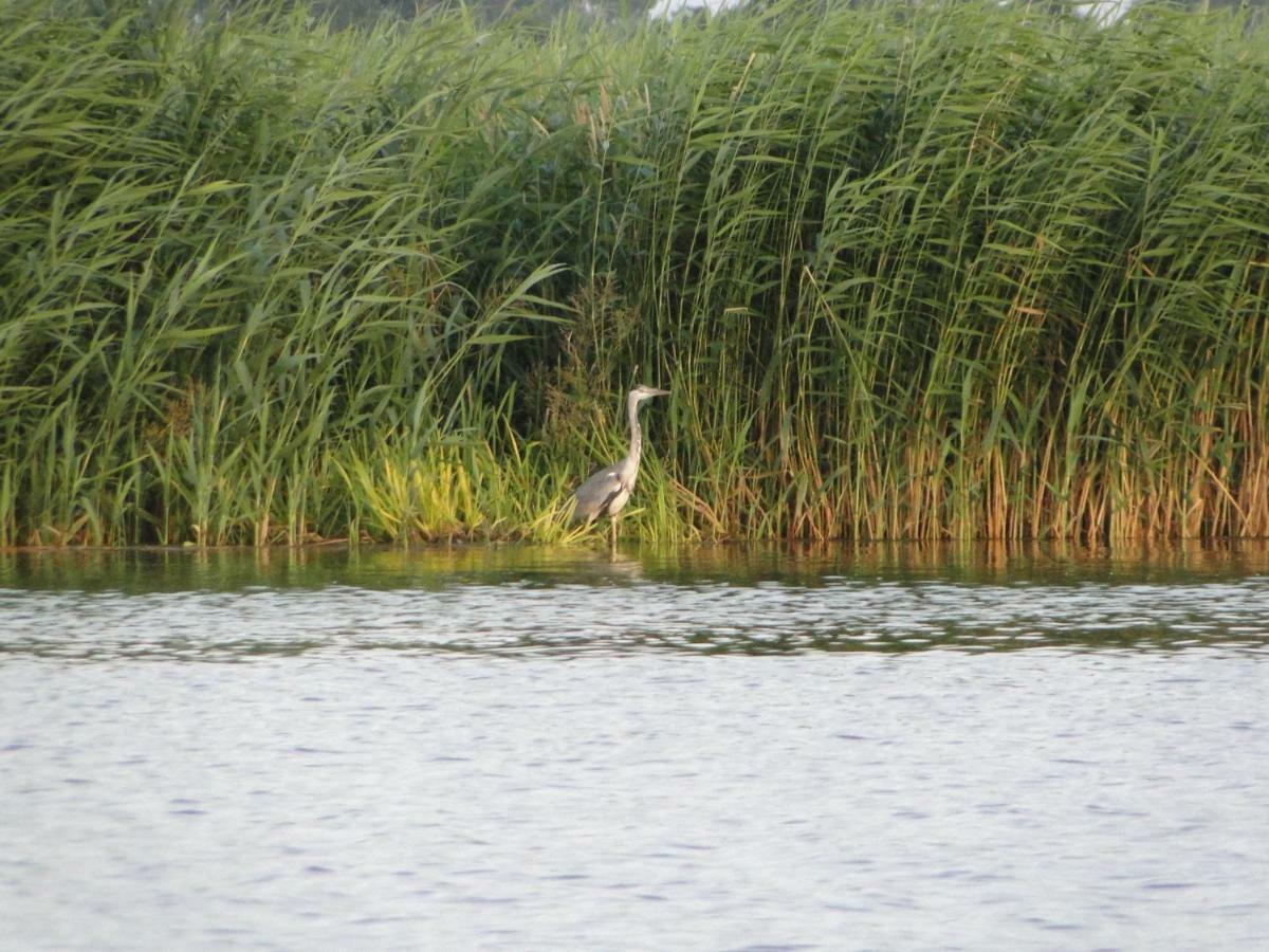 Zacisze Domki Letniskowe Karsibor ชวีโนวิชแจ ภายนอก รูปภาพ